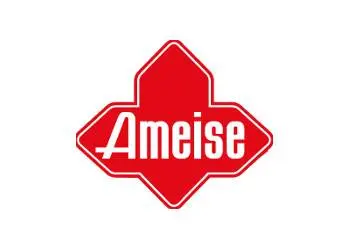 Компания Jungheinrich выводит на российский рынок дочерний бренд Ameise